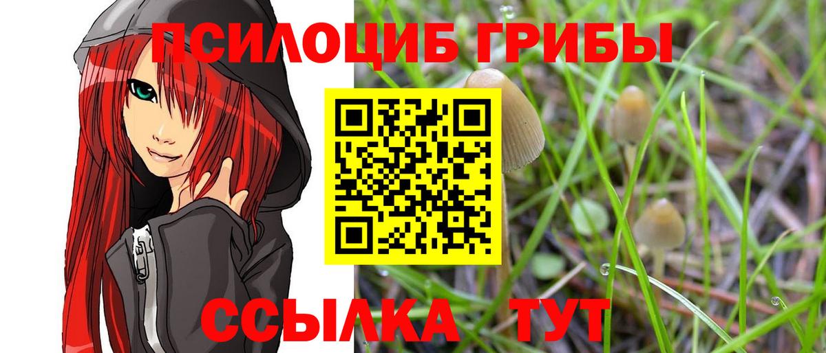 Переславль-Залесский  где купить наркоту  Вход с VPN  Псилоцибиновые грибы прущие грибы  Псилоцибиновые грибы Cubensis 